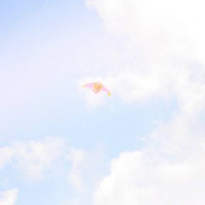 魔域手游浩动版下载
